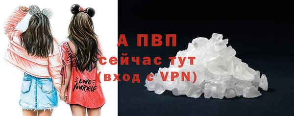 молекула духа Михайлов