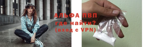 молекула духа Михайлов