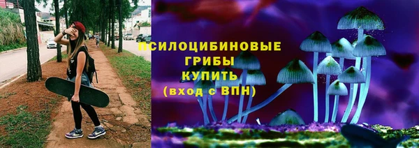 индика Мегион