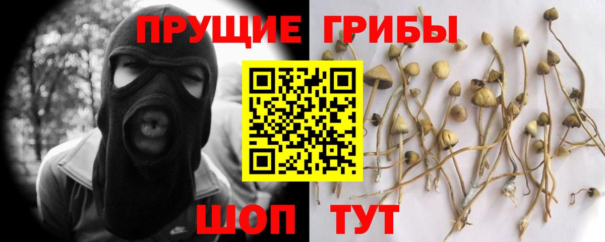 Кисловодск  Псилоцибиновые грибы MAGIC MUSHROOMS  Вход с VPN 