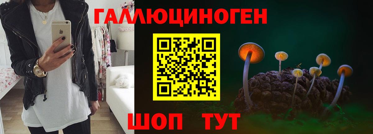 Галлюциногенные грибы мухоморы Кисловодск